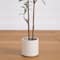 5ft. Artificial Minimalist Olive Tree in White Decorative Planter